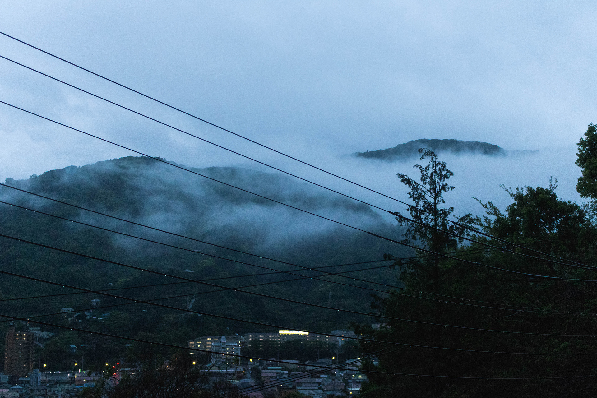 Landscape with lush foggy hills and dim late evening lighting.